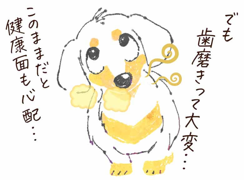 このこのふりかけ お口のニオイ