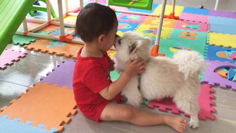 このこのふりかけ 口コミ②