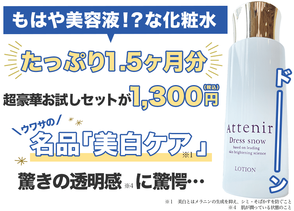 ドレススノーハーフ川野