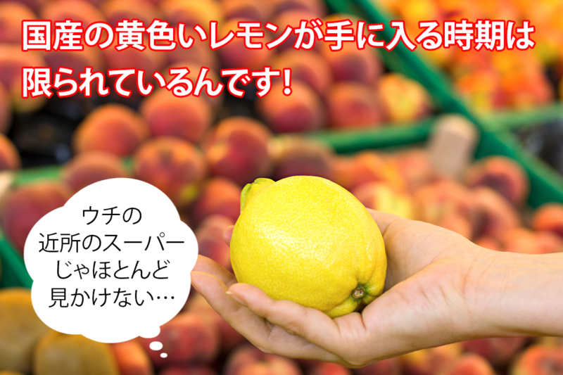 輪切りレモンはちみつ漬　国産レモンが買える時期は限られている