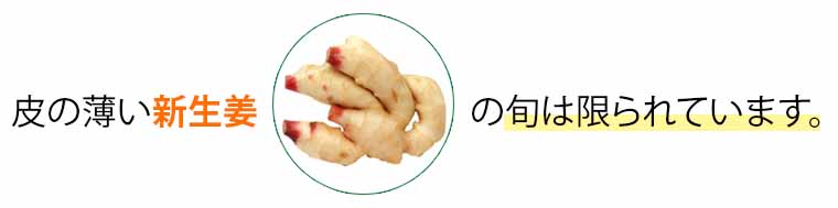 新生姜の旬は限られている