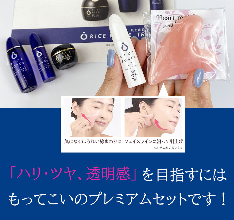 ライスフォース　　プレミアムセット