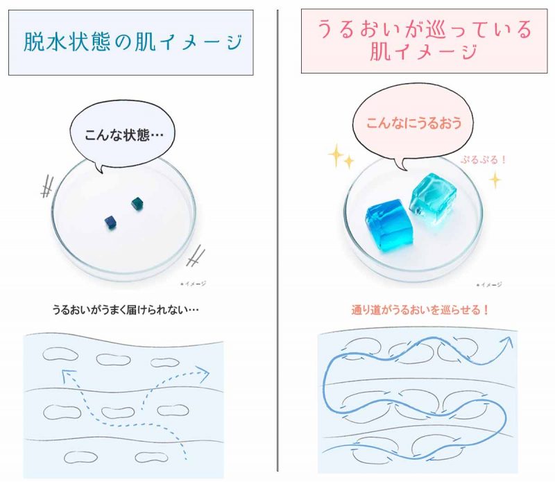 オルビスユー 脱水状態の肌とうるおっている肌