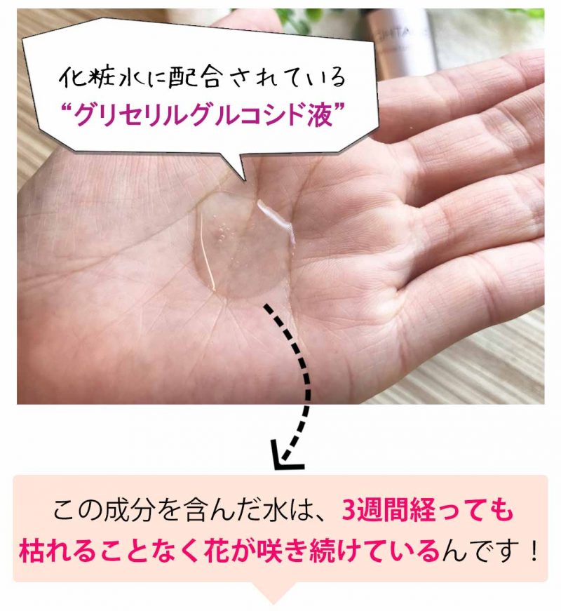 ブライトエイジ 実験