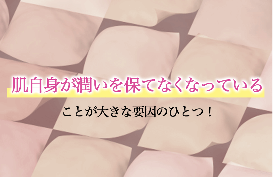 ライスフォースプレミアム