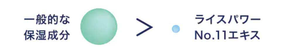 ライスフォース川野