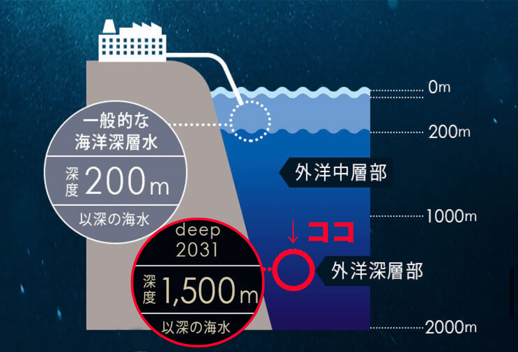 deep2031川野