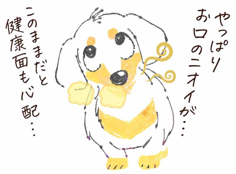 このこのふりかけ　お口のニオイ