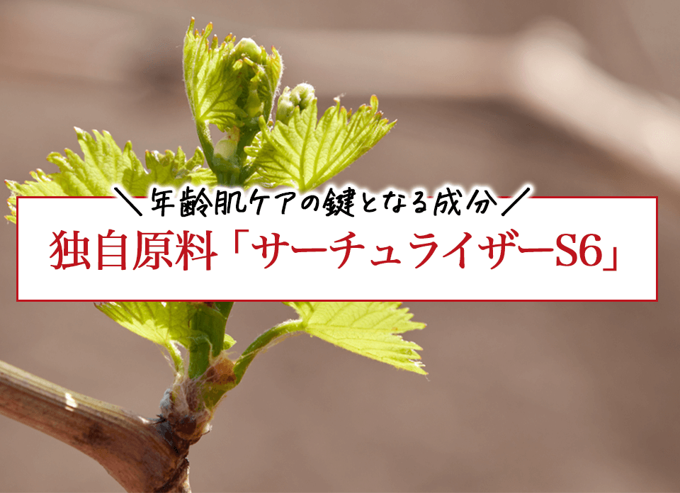 プライマーショット